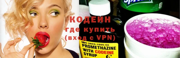 гашик Дмитров