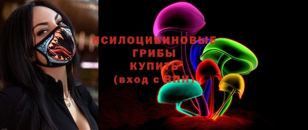гашик Дмитров
