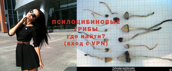амфетамин Ельня