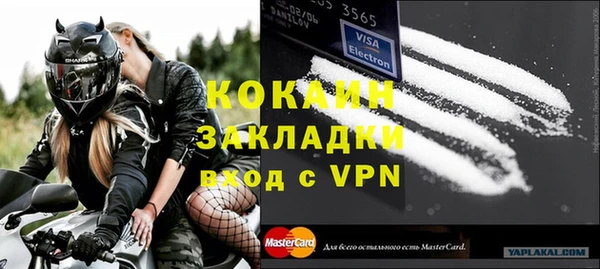 гашик Дмитров