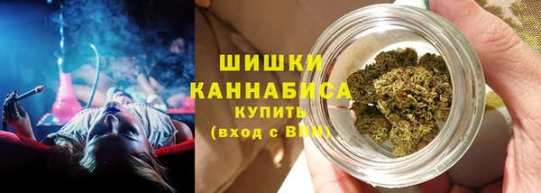гашик Дмитров
